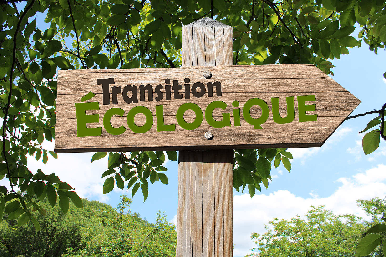 transition écologique, vers un futur vert
